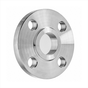 Sanitary Forged Pipe Flange for Water Treatment